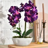 YSZL Große künstliche Orchidee im Topf, Seidenblumenarrangement mit Keramikvase, Dunkelviolett