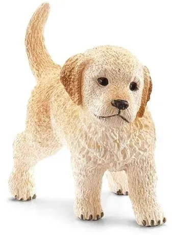 Golden Retriever puppy