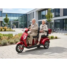 ECONELO E-Seniorenmobil Billy 2.0 3-Rad 1000 Watt Rot/Grau