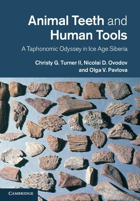 Animal Teeth and Human Tools: eBook von Christy G. Turner II