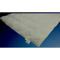 Betten Hofmann Masuren Ganzjahres Daunendecke Daunenbett Bettdecke 6x8 135x200 cm - Beige