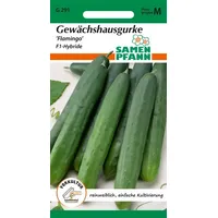 Samen Pfann Salatgurke, Flamingo F1 - Gemüse-Samen Gurken-Samen Saatgut Salat-Samen (Cucumis sativus )