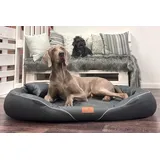 tierlando® Orthopädisches Hundebett Tiffany Easy-Clean | Große Hunde XL XXL | Allergiker Anti-Haar Kunstleder | Memory Foam XXL | Graphit