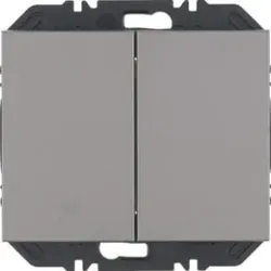 Berker 24127033 Friends of Hue Tasten 2fach, K.5, alu lack