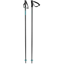 Head Herren Alpin-Skistock MULTI black speed blue, Größe 115 in Grau Grau