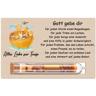Otuuz Taufe Geldgeschenk Taufgeschenke für Jungen Mädchen, Holz Taufe Karte Reagenzglas, Taufgeschenk für Jungen Mädchen Geldgeschenke Verpackung, Taufkind Patenkind(Arche Noah)