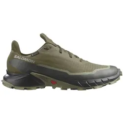 Salomon Herren Alphacross 5 GTX grün 47.3