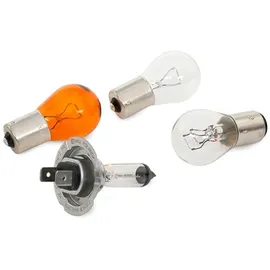 Philips Essential Box H7