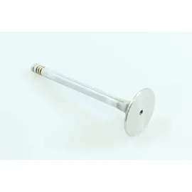 Team Associated AE Einlassventil für Ford Transit Tourneo Convoy