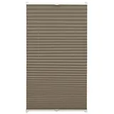 GARDINIA Plissee mit 2 Bedienschienen, Taupe, 80 x 130 cm