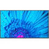 NEC MultiSync M491 49"