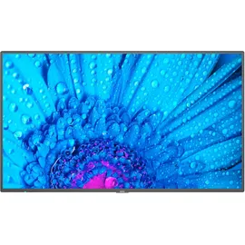 NEC MultiSync M491 49"