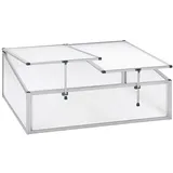 BECKMANN FS1 Frühbeet Typ Allgäu Modell 1