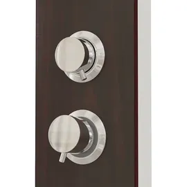 vidaXL Duschpaneel-System Glas Braun