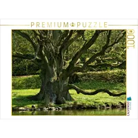 Calvendo Eiche, Schloßpark Bückeburg 1000 Teile Puzzle quer |
