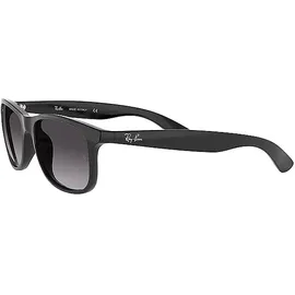 Ray-Ban Andy RB4202 601/8G 55-17 black/grey gradient
