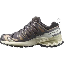 Salomon XA Pro 3D V9 GTX Schuhe (Größe 40.5 - grau)