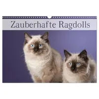 Calvendo Zauberhafte Ragdolls/Geburtstagskalender (Wandkalender 2026 DIN A3 quer), CALVENDO
