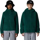 The North Face Kinder Campshire Full Zip Hoodie Jacke, Evergreen, 140