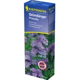 Kiepenkerl Gründünger Phacelia Phacelia tanacetifolia, Inhalt: 400 g