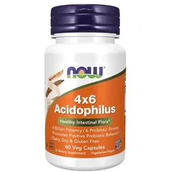 Acidophilus 4x6 60 pflanzliche Kapseln