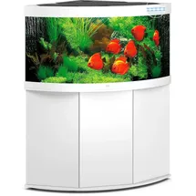juwel® aquarium Trigon 350 Aquarium mit Unterschrank weiß