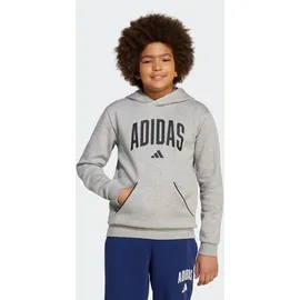 adidas Hoodie Grey 176