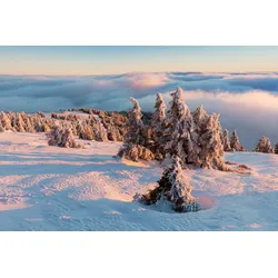 Fototapete PAPERMOON "Schneelandschaft", bunt, B:4,50m L:2,80m, Vlies, Tapeten