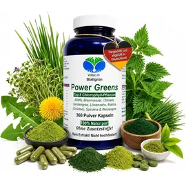 VitalLife Green Power Greens Top8 Chlorophyll Supergreens Kapseln 360 St.
