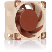 Noctua NF-A4x20 PWM - 40 mm
