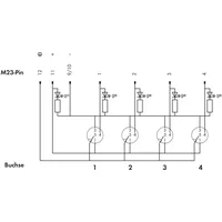 WAGO 757-144 Sensor/Aktorbox passiv M12-Verteiler mit Metallgewinde 1St.