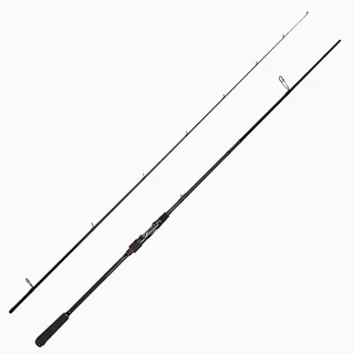 Lieblingsköder Firestarter Allround 2,45m 5-40g