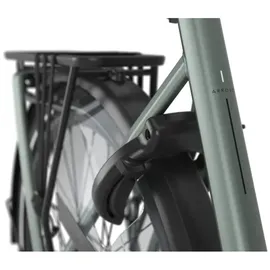 Gazelle Arroyo C8+ Elite 2025 28 Zoll RH 49 cm Damen grün