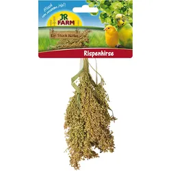 JR FARM Birds Rispenhirse 100g Vogelsnack