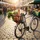 Atranvelo Epic Fahrradkorb schwarz