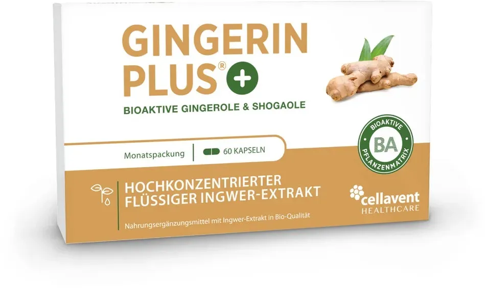 gingerin plus kapseln
