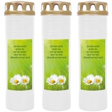 HS CANDLE Grabkerze Grablicht - 3er Pack - mit Motiv Gänseblümchen - ca 170h / 7 Tage Brenndauer je Kerze 26cm, Ø - viele versch.