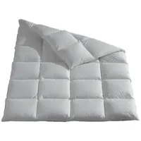 Häussling Königstraum warm 90% Daunen und 10% Federn (Größe: 155x220 cm)