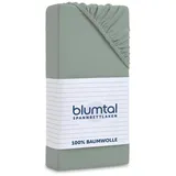 Blumtal Spannbettlaken Jersey 140 x 200 cm grün 2 St.