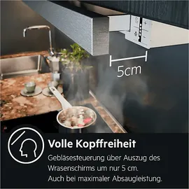 AEG DPS5650AM Flachschirmhaube 60 cm