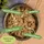 Lyra Pet 72 x 85 g Lecker.Pet® Surf'n'Turf Pouches Katzenfutter in feiner Sauce Nassfutter 4er Mix Multipack