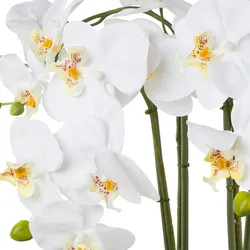 CREATIV green künstliche Pflanze Phalaenopsis, 41 cm