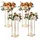 Vevor Blumenhocker 20 x 20 x 80 cm Metall