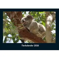 Vero Kalender Tierkalender 2026 Fotokalender DIN A4 von Tobias