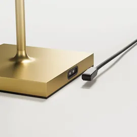 Sigor Nuindie gold Easy-Connect