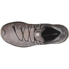 Salomon XA Pro 3D V9 GTX Damen Plum Kitten/Black/Gull 37 1/3