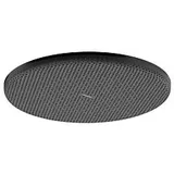 Hansgrohe Raindance Alive S Duschkopf 300 1 Strahlart, brushed black chrome