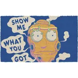 SD TOYS Fußmatte, 60 x 40 cm, Show Me What You Got Rick Y Morty, SDTWRN24568