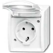 Busch-Jaeger Schuko-Steckdose mit Klappdeckel 20 EW-54
