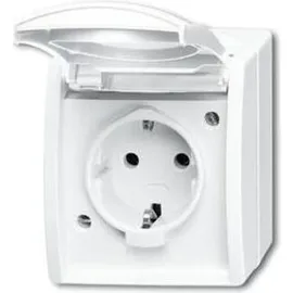 Busch-Jaeger Schuko-Steckdose mit Klappdeckel 20 EW-54